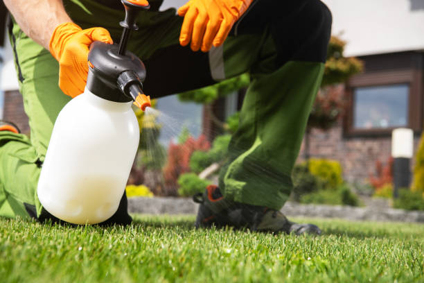 Best Exterminator Services  in Mulberry, IN