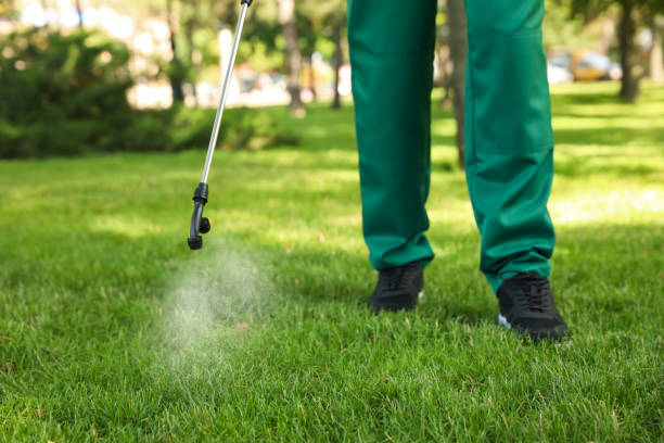 Best Residential Pest Control  in Mulberry, IN