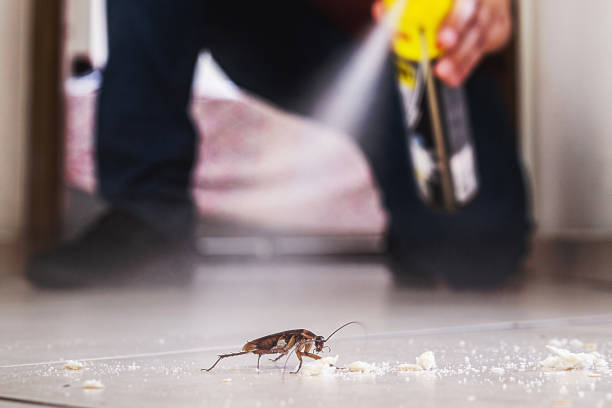 Pest Prevention Services in Mulberry, IN