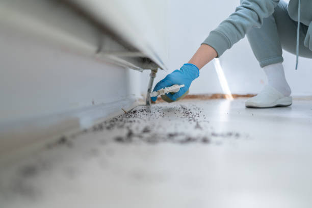 Best Emergency Pest Control  in Mulberry, IN