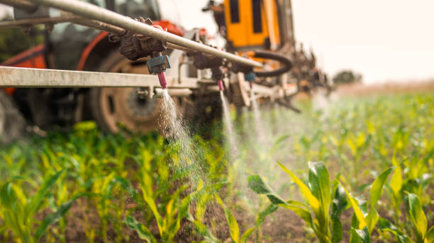 Best Mosquito Control Services  in Mulberry, IN