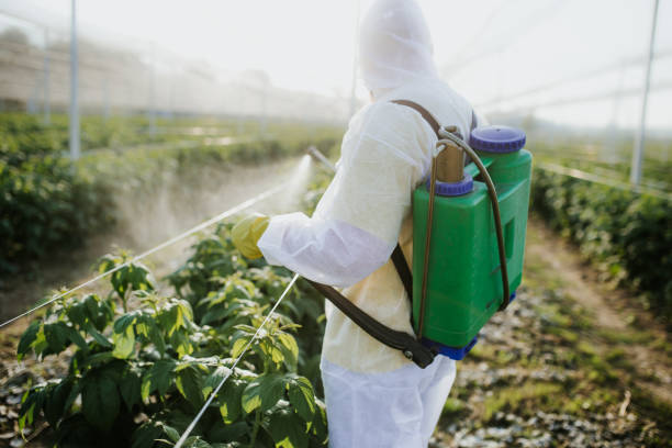 Best Cockroach Control Services  in Mulberry, IN
